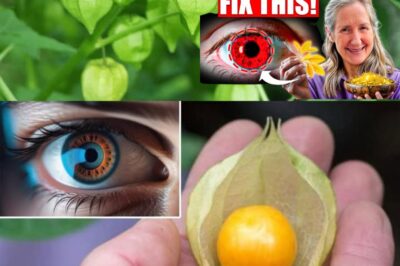 Goldenberries: The Superfruit Packed with Health Benefits