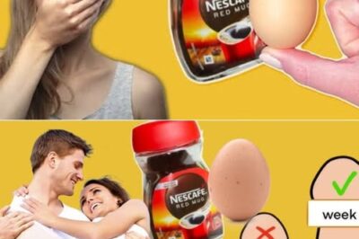 Unlocking the Benefits of Eggs and Coffee: A Nutritious and Energizing Duo! /d