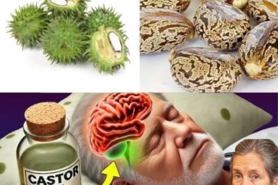 Castor Oil: Discover the Transformative Effects After Just 7 Days /đh