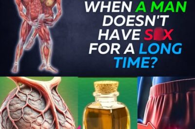 What Happens when a Man Doesn’t Have S3x for a Long Time? Health Issue /d
