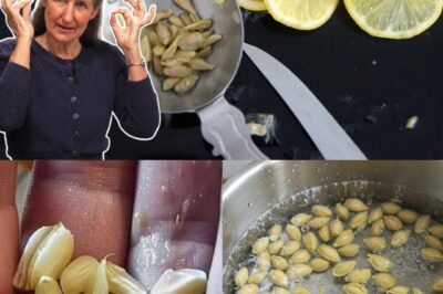 10 Ingenious Ways to Reuse Lemon Seeds at Home