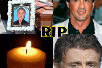 10 minutes ago / The family announced the sad news of Action movie legend Sylvester Stallone (NG)