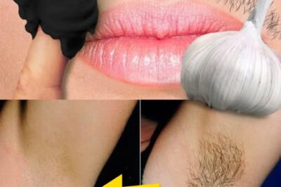 Stop Shaving! Discover Natural Ways to Permanently Remove Facial, Body, and Pubic Hair /d