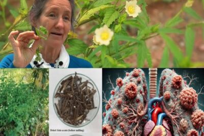 10 Remarkable Health Benefits of Pigweed Greens You Need to Know