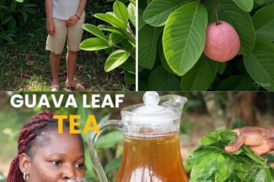 Unlock the Secret Power of Guava Leaves: Transform Your Hair, Skin, and Health Naturally /d