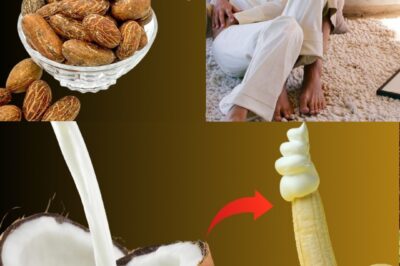 Discover the Power of Nature’s Trio: Bitter Kola, Coconut Water, and Alligator Pepper – A Natural Path to Hydration, Energy, and Clarity