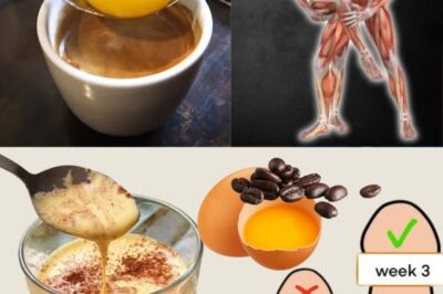 Eggs and Coffee: The Ultimate Energy-Boosting Combo for Stamina & Health! ☕🥚🔥