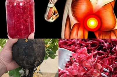Cancer Cells Die in Batches! All Dirt Flies Out of the Body! 3 Priceless Natural Remedies: Carrot, Black Radish, and Beets