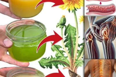 30 Incredible Benefits of Dandelion: Nature’s Hidden Gem