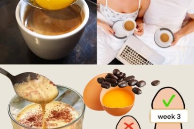 Ovos e café: a melhor combinação para aumentar a energia, a resistência e a saúde! ☕🥚🔥/lo