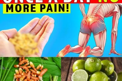 THIS SEED: AFTER 50, IT STRENGTHENS BONES & CURES ALL PAINS /d