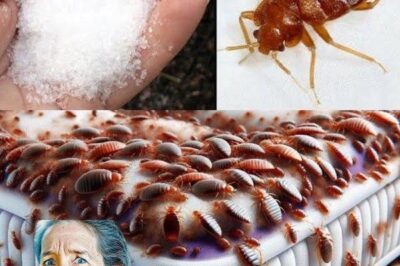 Bedbugs Will Disappear from Your Garden in a Few Minutes by Doing This!
