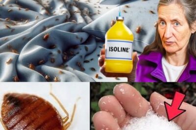 Eliminate Bedbugs Naturally with Ingredients You Already Have in Your Home and Garden./lo