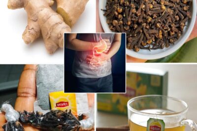 Benefits of Ginger Cloves and Lipton Tea /DDH