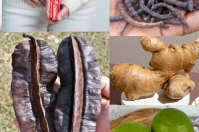 Gbogbo Nise: The Ultimate All-in-One Remedy for Women /d