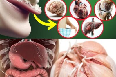 Raw Garlic: The Tiny Superfood With Big Health Benefits 🌱🧄 /d