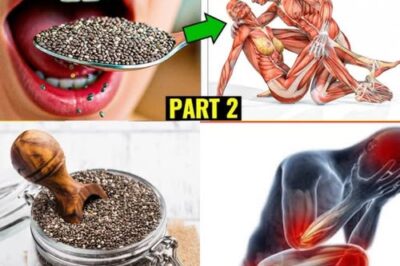 Unlock the Overnight Power of Chia Seeds: A Tiny Superfood with Big Benefits /d