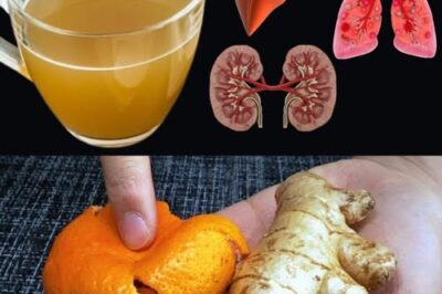 Flush Out Toxins Naturally: Support Your Kidneys, Liver, and Lungs for Vibrant Health /d