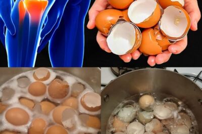 Eggshell Tea: A Natural Remedy for Joint Pain and Bone Health
