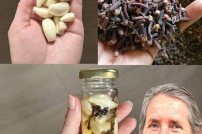 Mixing Garlic, Honey, and Cloves: The Secret No One Will Ever Tell You!