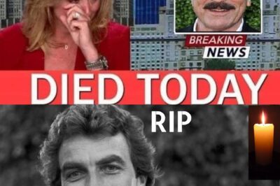 The latest pictures of Tom Selleck confirms what many of us suspected… (NG)