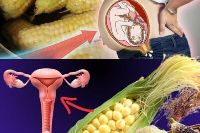 🌽 Corn Silk: The Golden Thread of Natural Healing You’ve Been Overlooking /d
