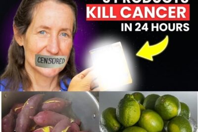 🌿 5 Natural Remedies to Help Fight Cancer — Embrace Holistic Healing /d