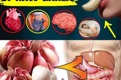🧄 Eating Raw Garlic Before Bed: The Nighttime Health Habit You Didn’t Know You Needed /d