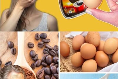 The Surprising Benefits of Combining Eggs and Coffee: A Nutritious and Energizing Pair /d