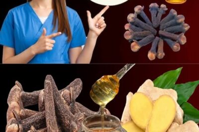 18 Benefits: Mix Ginger with Cloves and Honey, You’ll Thank Me for the Recipe! /d