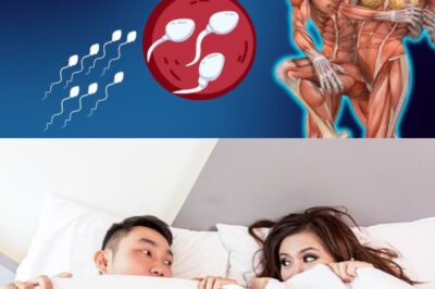 Six Powerful Foods to Improve Sperm Health and Boost Male Fertility Naturally /đh