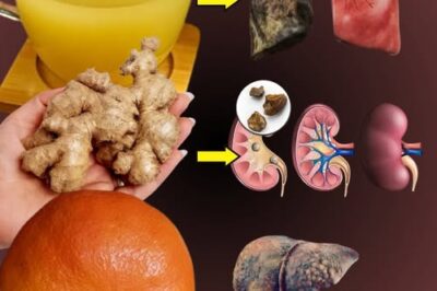 🌿 Cleanse Your Kidneys, Liver, and Lungs Naturally – Best Natural Detox Methods for a Healthier You /d