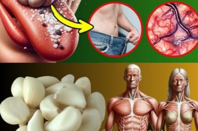 The Nightly Benefits of Eating Raw Garlic Before Bed /d