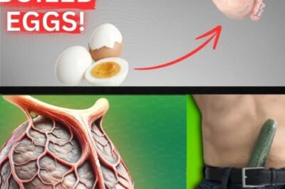 🥚 What Happens When You Eat 2 Eggs Every Morning for a Month? Here’s the Surprising Truth /d