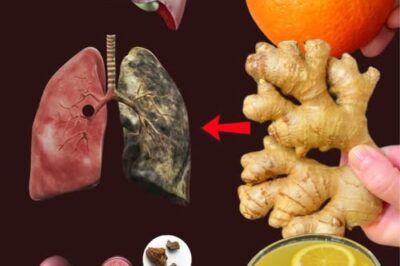 🌿 Detox Your Body Naturally: Support Your Kidneys, Liver & Lungs Without the Hype /d