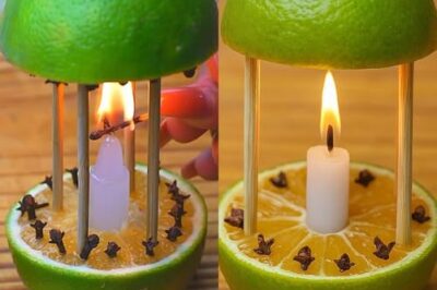 Why You Should Put Cloves in a Lemon: A Powerful Home Remedy /d