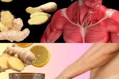 Why Every Man Should Add Ginger to His Daily Routine (Seriously) /d