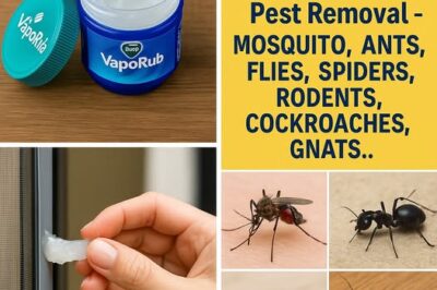 Vicks VapoRub: The Surprising Pest Repellent Hack! ✨ /d