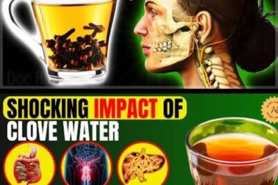 Clove Water Benefits at Night: 15 Incredible Health Advantages You Must Know /d