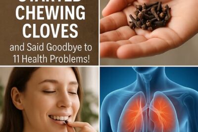 Unlocking the Power of Cloves: Say Goodbye to Health Issues /d