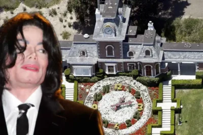 Who Bought Michael Jackson’s Haunted Estate? The Answer Will Shock You. Inside the ‘Cursed’ Walls of Neverland – What the New Owner Found Left Them Speechless (NG)