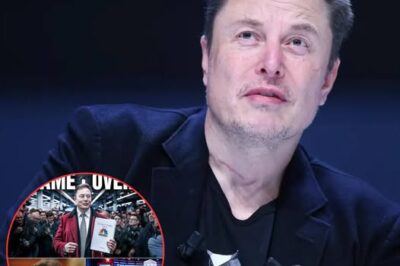 Elon Musk’s sh0cking post on X about MSNBC … Read below!! 👇 (DG)
