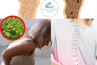 Unlock the Secret to Stronger, Healthier Bones with This Powerful Plant – You Won’t Believe How Moringa Transforms Your Bone Health! (NH)