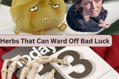 Herbs That Can Ward Off Bad Luck: Nature’s Remedies for Positive Energy (NH)