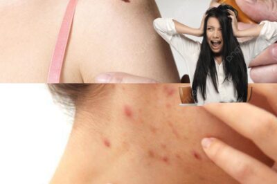 Herbal Leaves That Help Detoxify the Body: Natural Remedies for a Healthier You (NH)