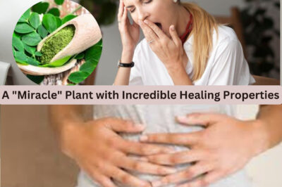 Unlock the Secret Healing Powers of the Moringa Tree: The “Miracle” Plant You Need to Know About! (NH)