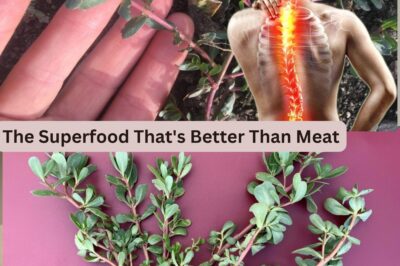 The Superfood That’s Better Than Meat – 7 Reasons to Grow It in Your Garden (NH)