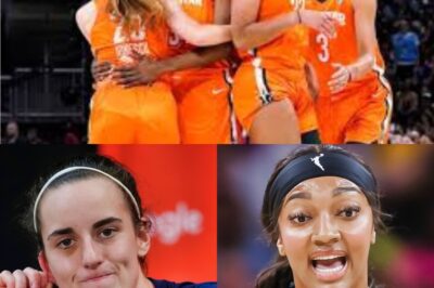 The WNBA Faces a Major Crisis: Can the League Overcome This Challenge Before Time Runs Out? (NH)