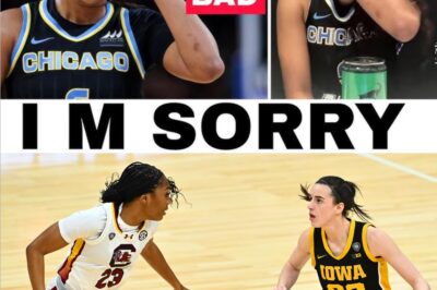 OPINION: WNBA Players Are Destroying Their Own League Now — Or Are They Saving It? (NH)