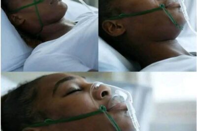 Tennis legend Serena Williams, who tragically passed away at the age of 43 in her hometown /d